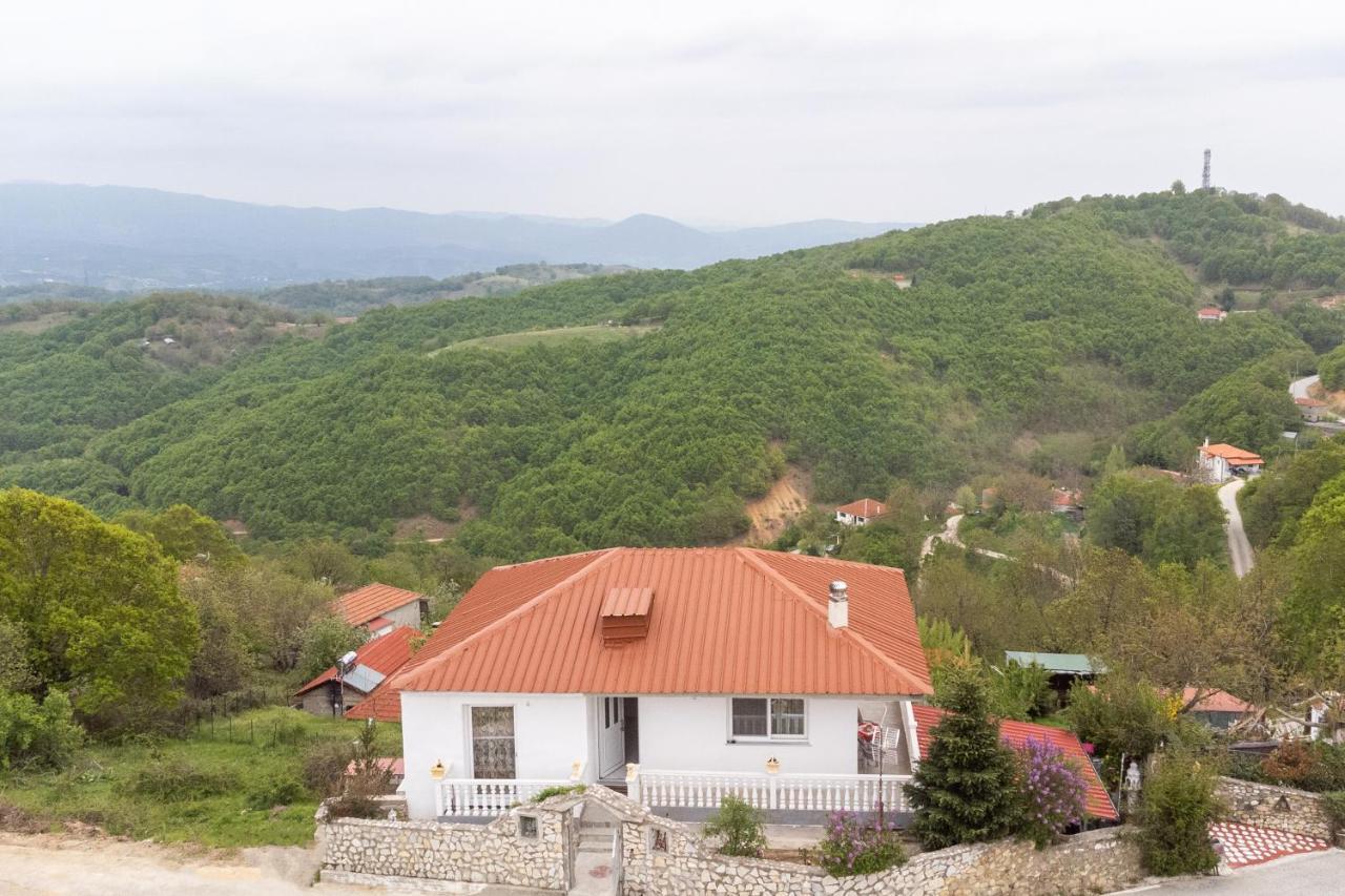 Villa Vista De Montana Meteora II Vlachava Exterior foto